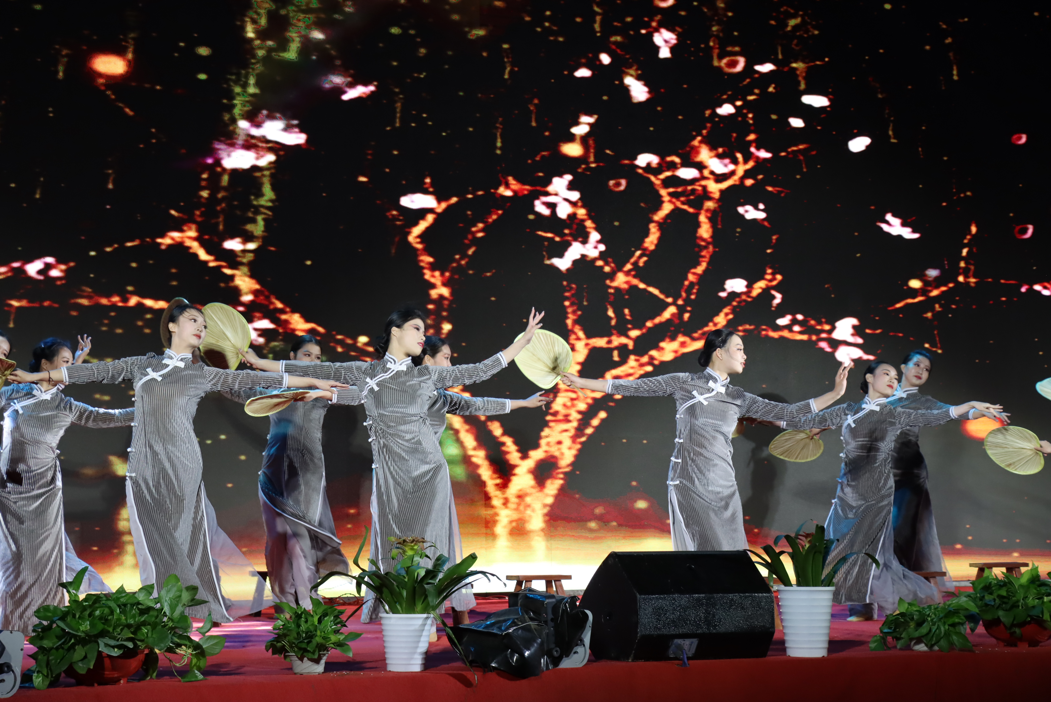 维多利亚vic119中国线路2022年迎新年晚会视频剪辑